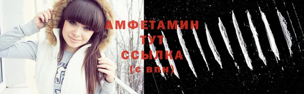 сатива Новокубанск