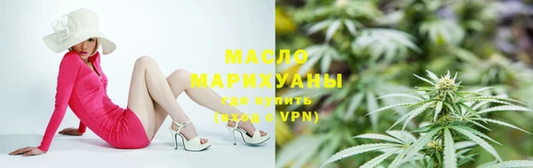 сатива Новокубанск