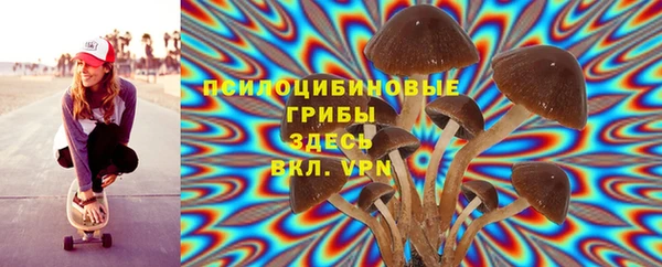 прущая мука Новодвинск