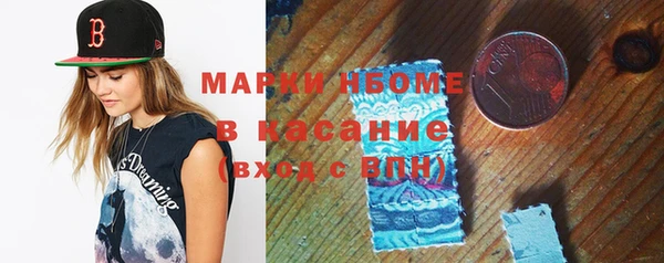 сатива Новокубанск