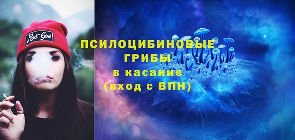 сатива Новокубанск